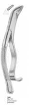  Fig. 103 lower incisors, premolars 